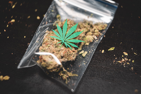 University of Maryland startet Master -Programm für medizinisches Cannabis
