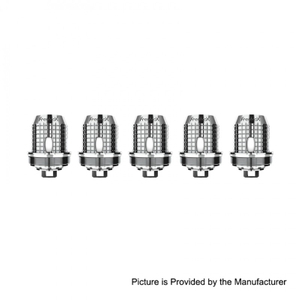 Authentique Freemax Twister Kanthal X1 Mesh Coil Head - 0,15Ohm (40 ~ 70W) (5 PCS)