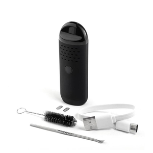 Authentic Anlerr Palmer Pod System AIO Design Dry Herb Vaporizer 1000mAh Temp Control Ceramic Heat Chamber Dash Herbal Vape Kit